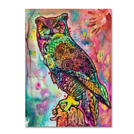 Dean Russo 'Wise Owl' Canvas Art,35x47
